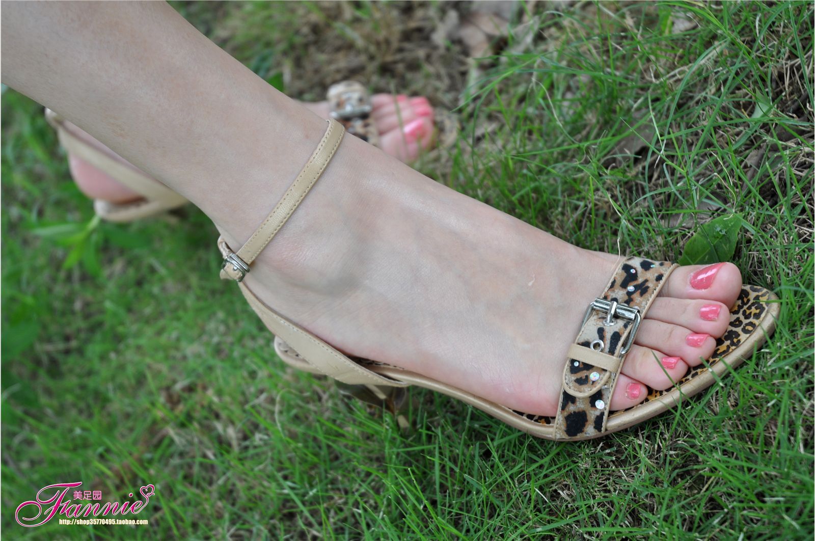 夏日阳光、细雨和微风（3） 芬妮高清丝足